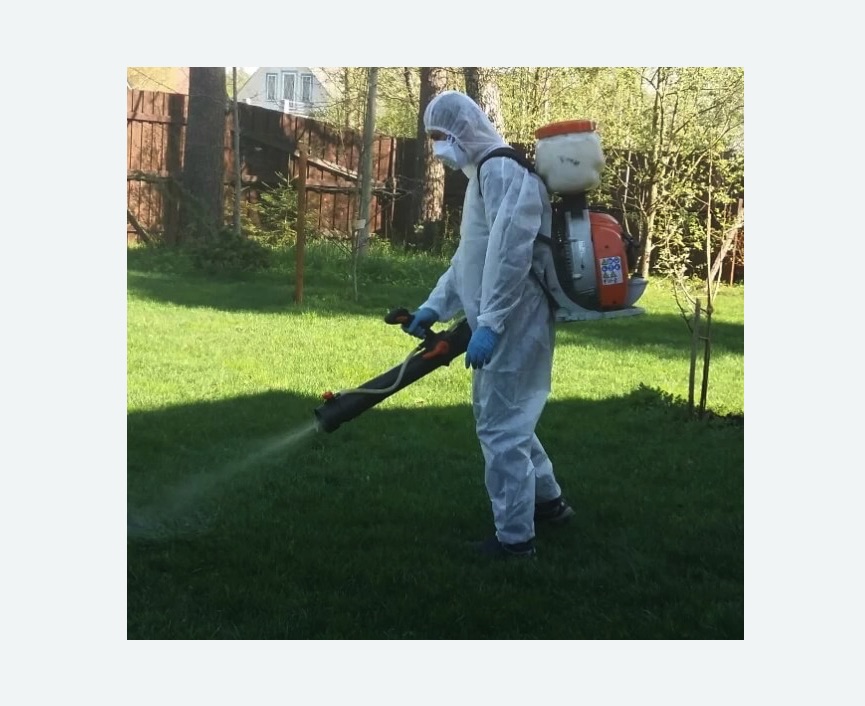 Обработка территории от клещей в Ликино-Дулёво