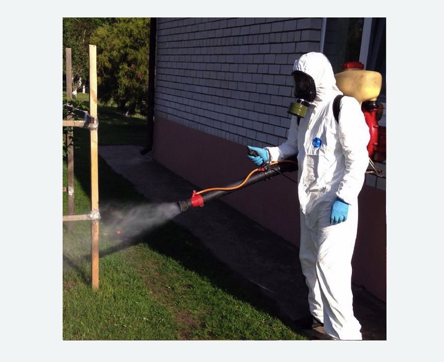 травля клещей на участке в Ликино-Дулёво