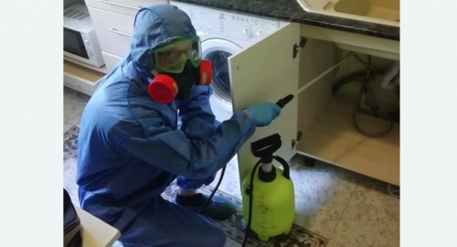 Уничтожение муравьев в квартире. Ликино-Дулёво