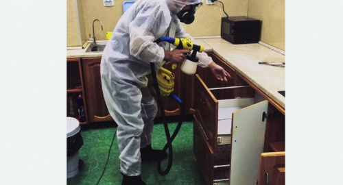 Дезинсекция квартиры. Ликино-Дулёво