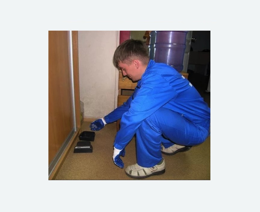 Дератизация крыс в Ликино-Дулёво