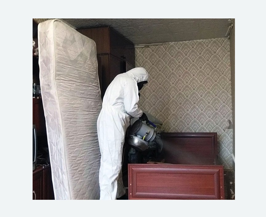 дезинфекция от клопов в Ликино-Дулёво