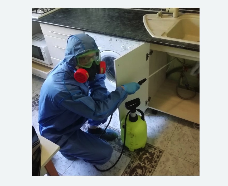 обработка от муравьев в квартире в Ликино-Дулёво