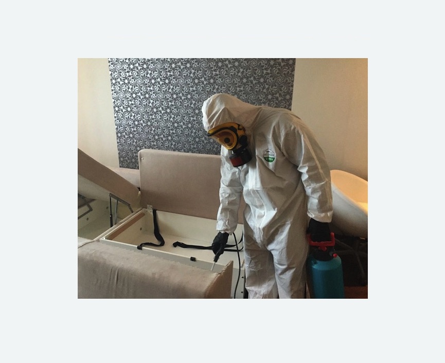 уничтожение клопов в квартире в Ликино-Дулёво