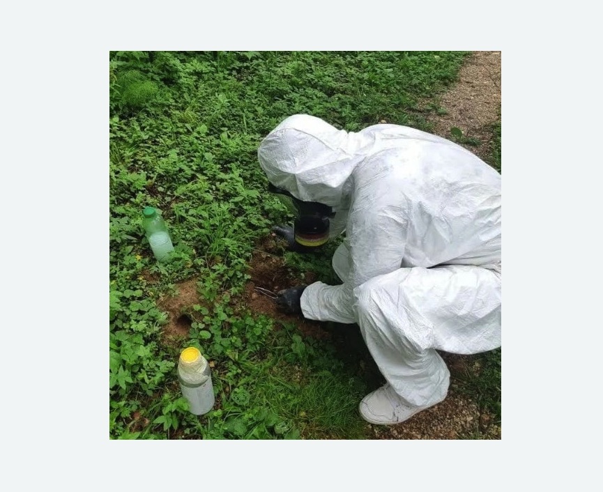 уничтожение кротов на участке в Ликино-Дулёво