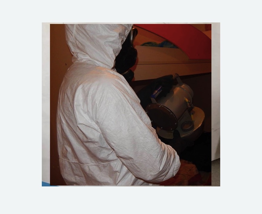 Дезинфекция от муравьев в Ликино-Дулёво