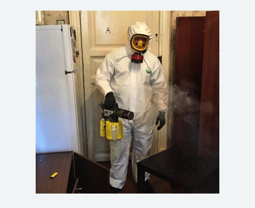 уничтожение муравьев в квартире в Ликино-Дулёво